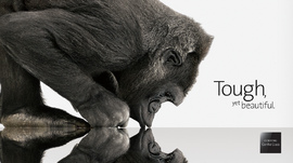 Gorilla Glass