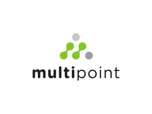 Мультипойнт (Multipoint)