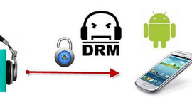 DRM (Защита авторских прав)